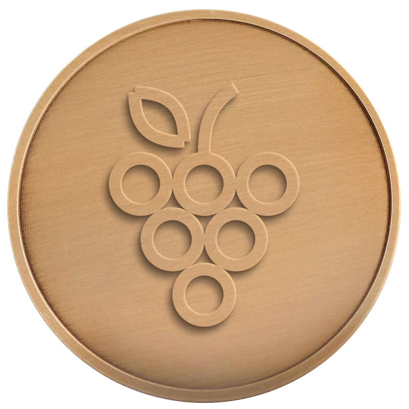 bronze Medal