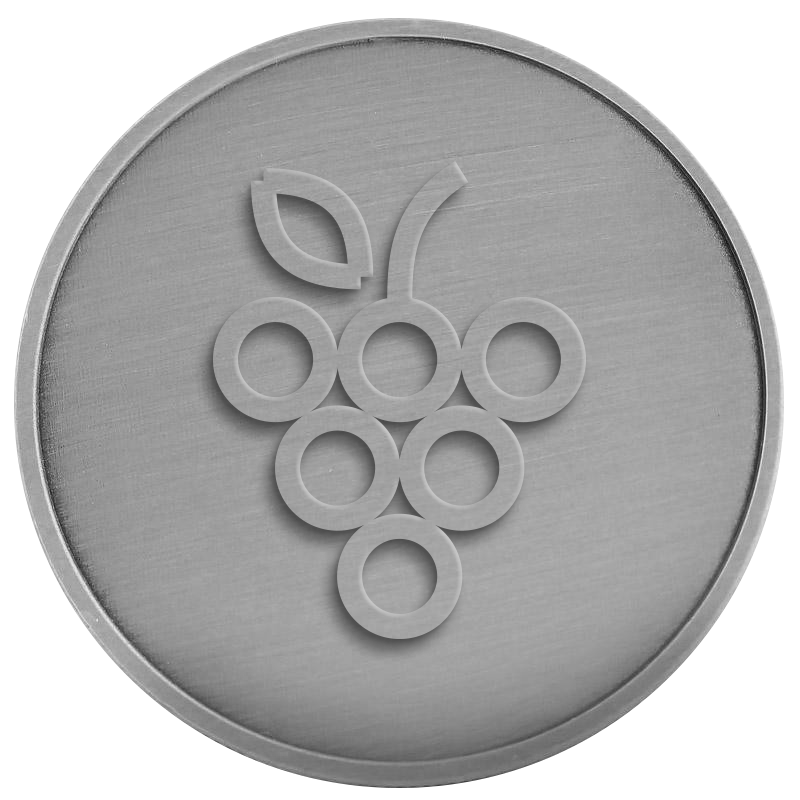 silver Medal